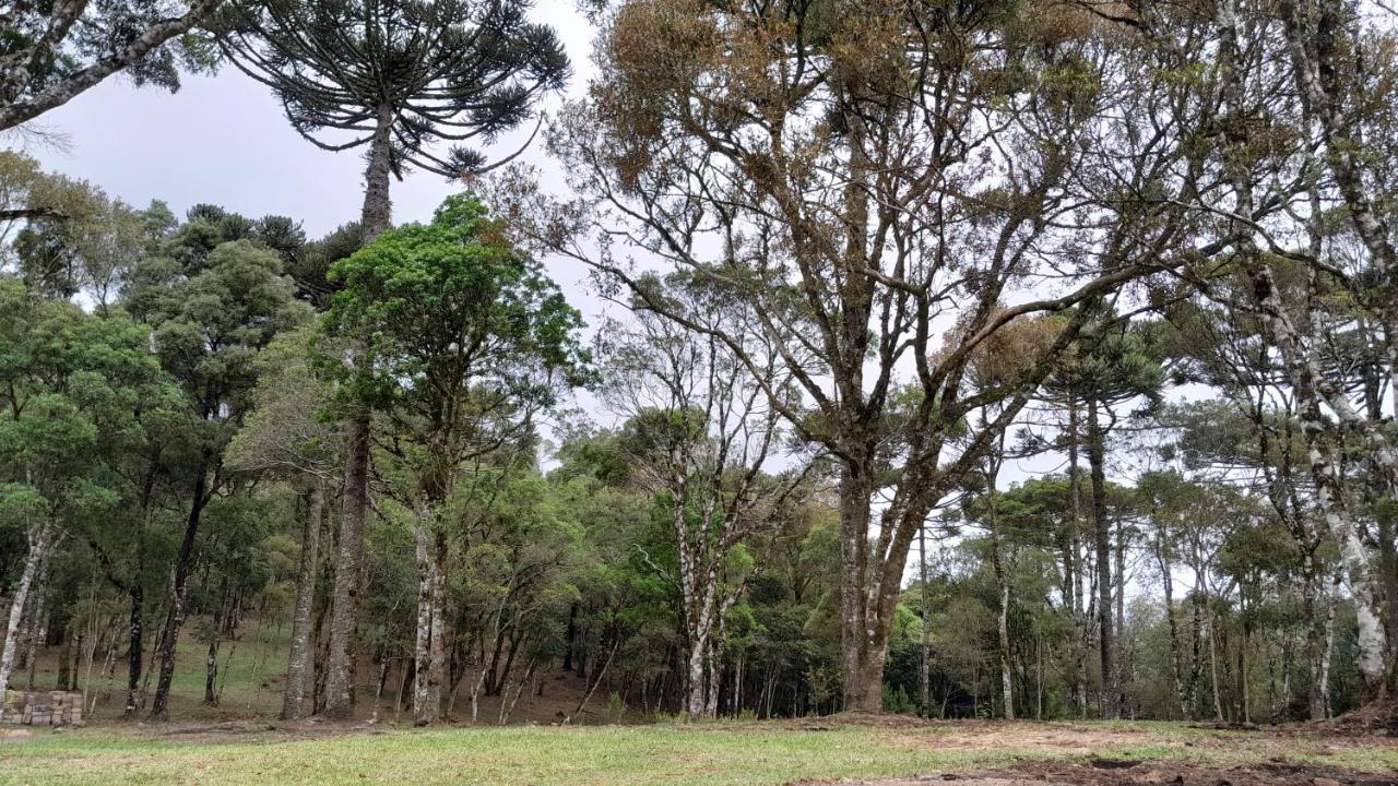 São Francisco de Paula Cabanas Dos Pinheiros מראה חיצוני תמונה