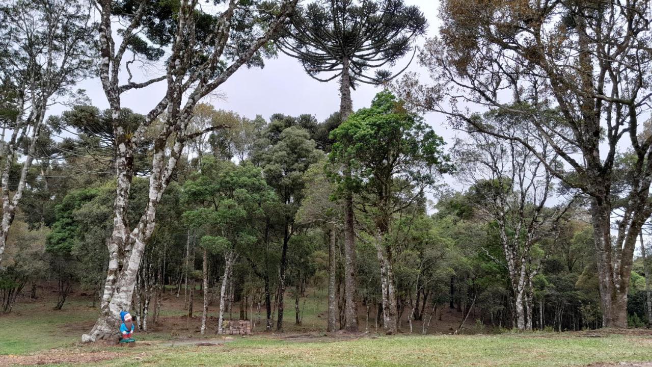 São Francisco de Paula Cabanas Dos Pinheiros מראה חיצוני תמונה