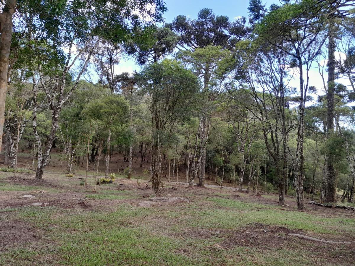 São Francisco de Paula Cabanas Dos Pinheiros מראה חיצוני תמונה