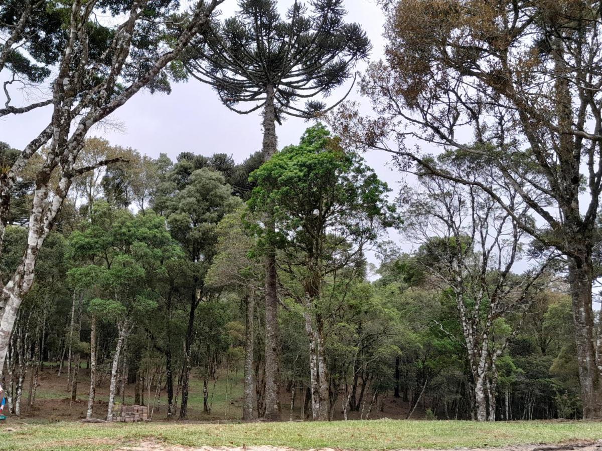 São Francisco de Paula Cabanas Dos Pinheiros מראה חיצוני תמונה
