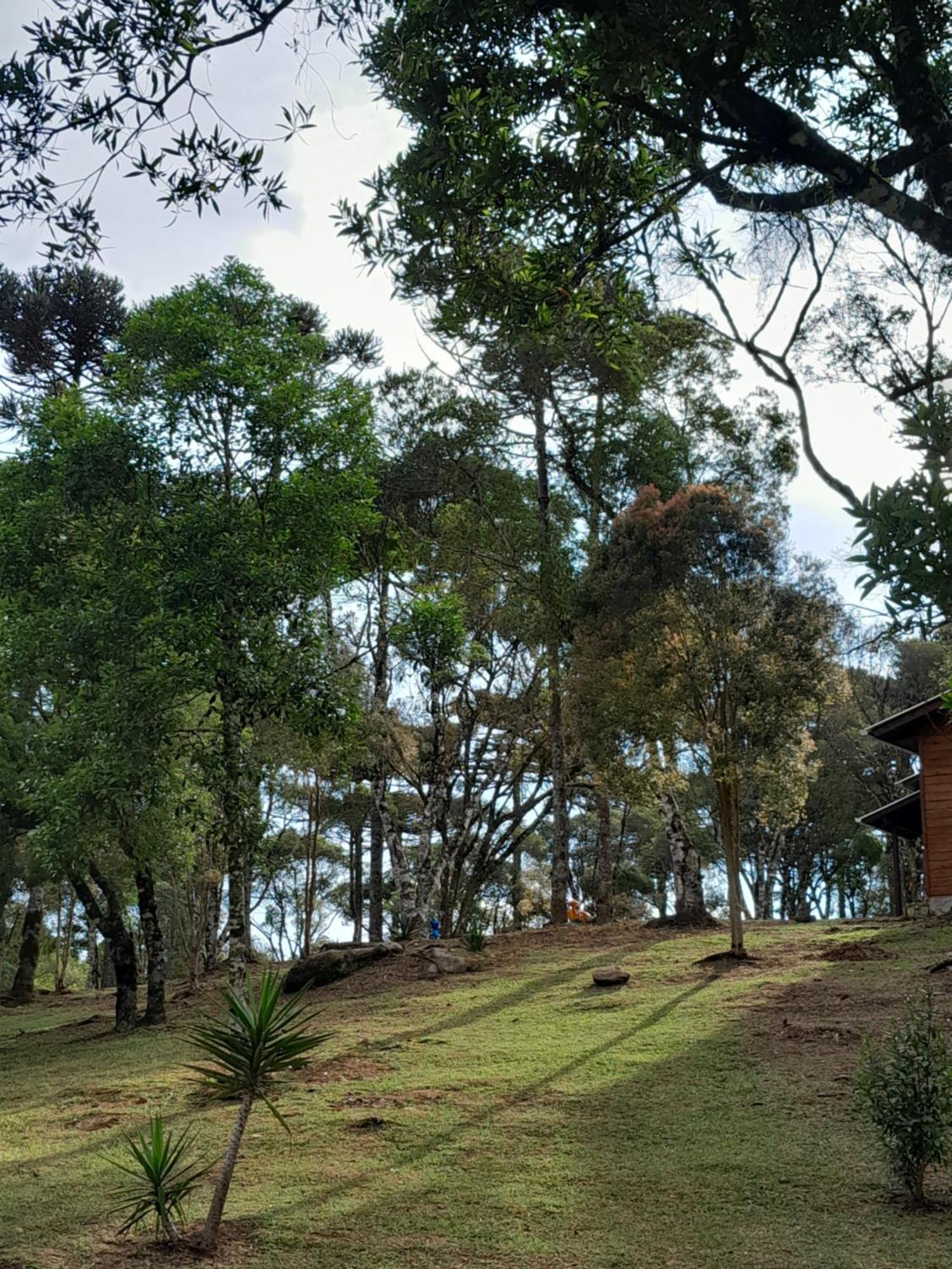 São Francisco de Paula Cabanas Dos Pinheiros חדר תמונה