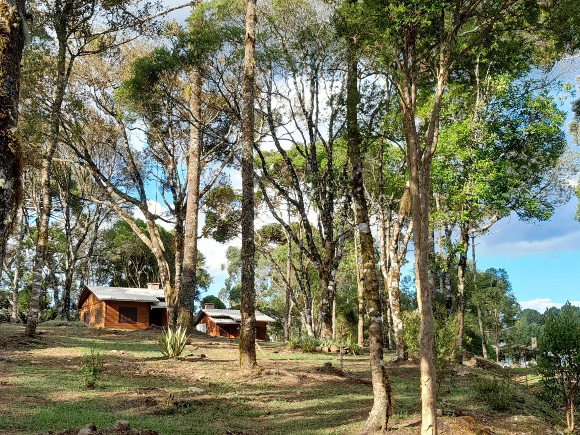 São Francisco de Paula Cabanas Dos Pinheiros חדר תמונה