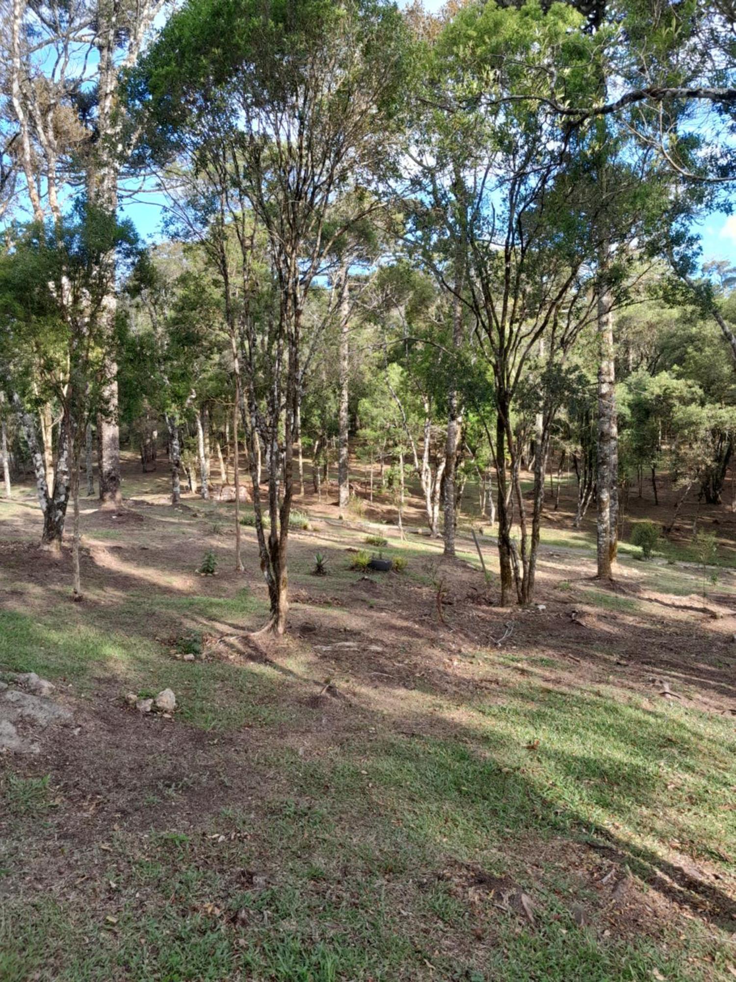 São Francisco de Paula Cabanas Dos Pinheiros חדר תמונה