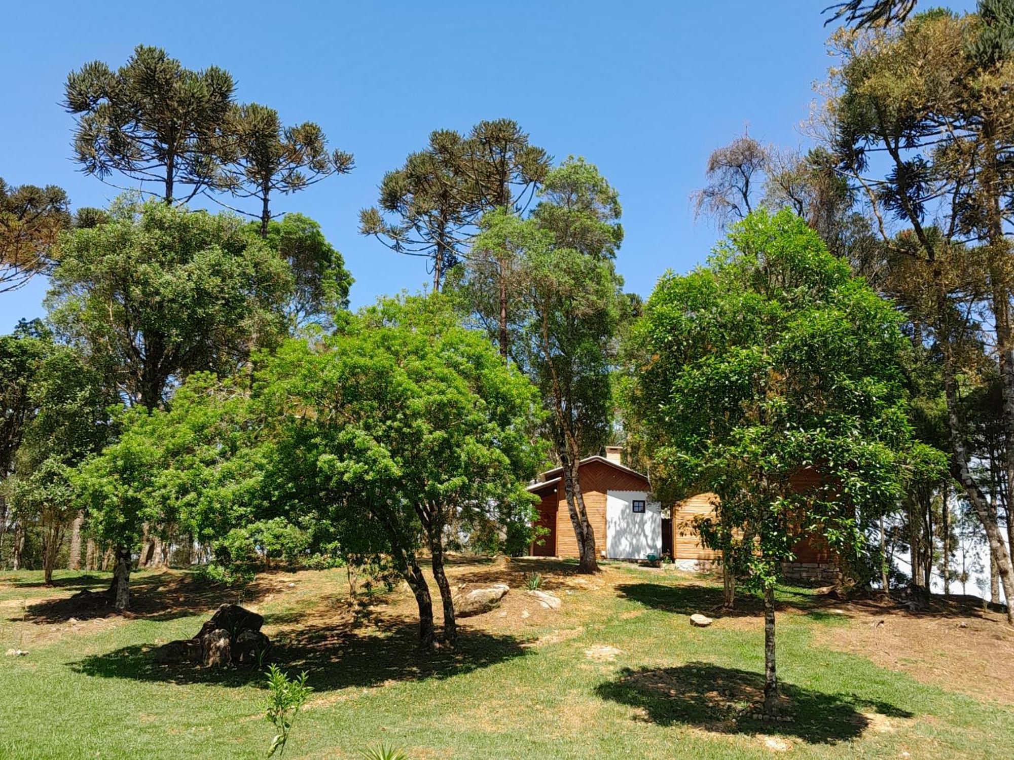 São Francisco de Paula Cabanas Dos Pinheiros חדר תמונה
