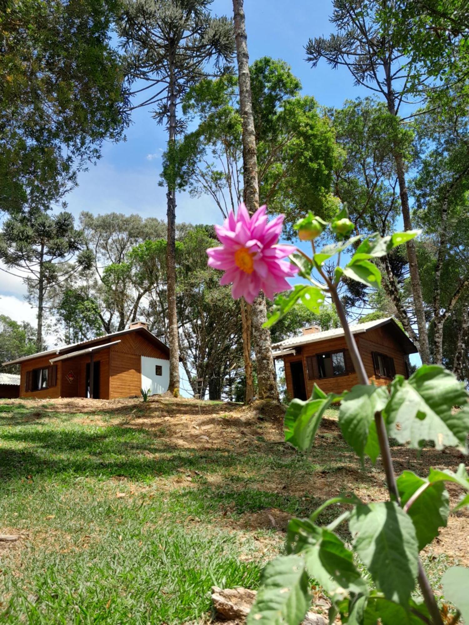 São Francisco de Paula Cabanas Dos Pinheiros חדר תמונה